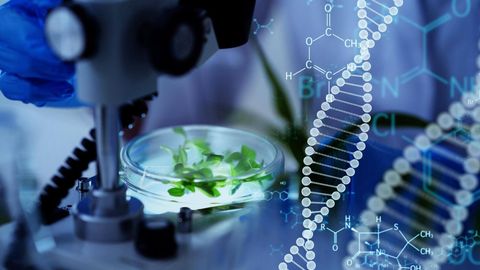 Transforming the Future: Bioinformatics in Pharma and Agriculture