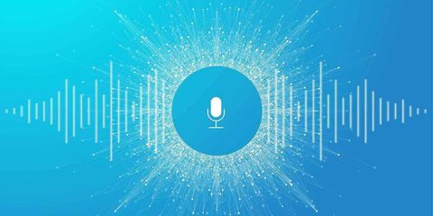 The Symphony of Voice: From Recognition to Biometrics