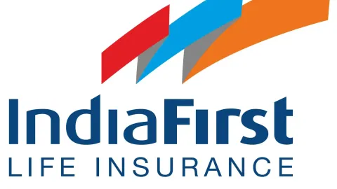 IndiaFirstLife.com vs TataAIA.com Complete Guide to Insurance Solutions and Customer Resources