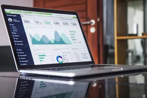 How Marketing Agencies in New Zealand Help Businesses Build a Strong Digital Presence