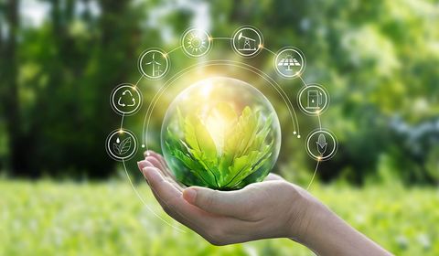 Innovation and Balance: Crafting a Sustainable Tech Future